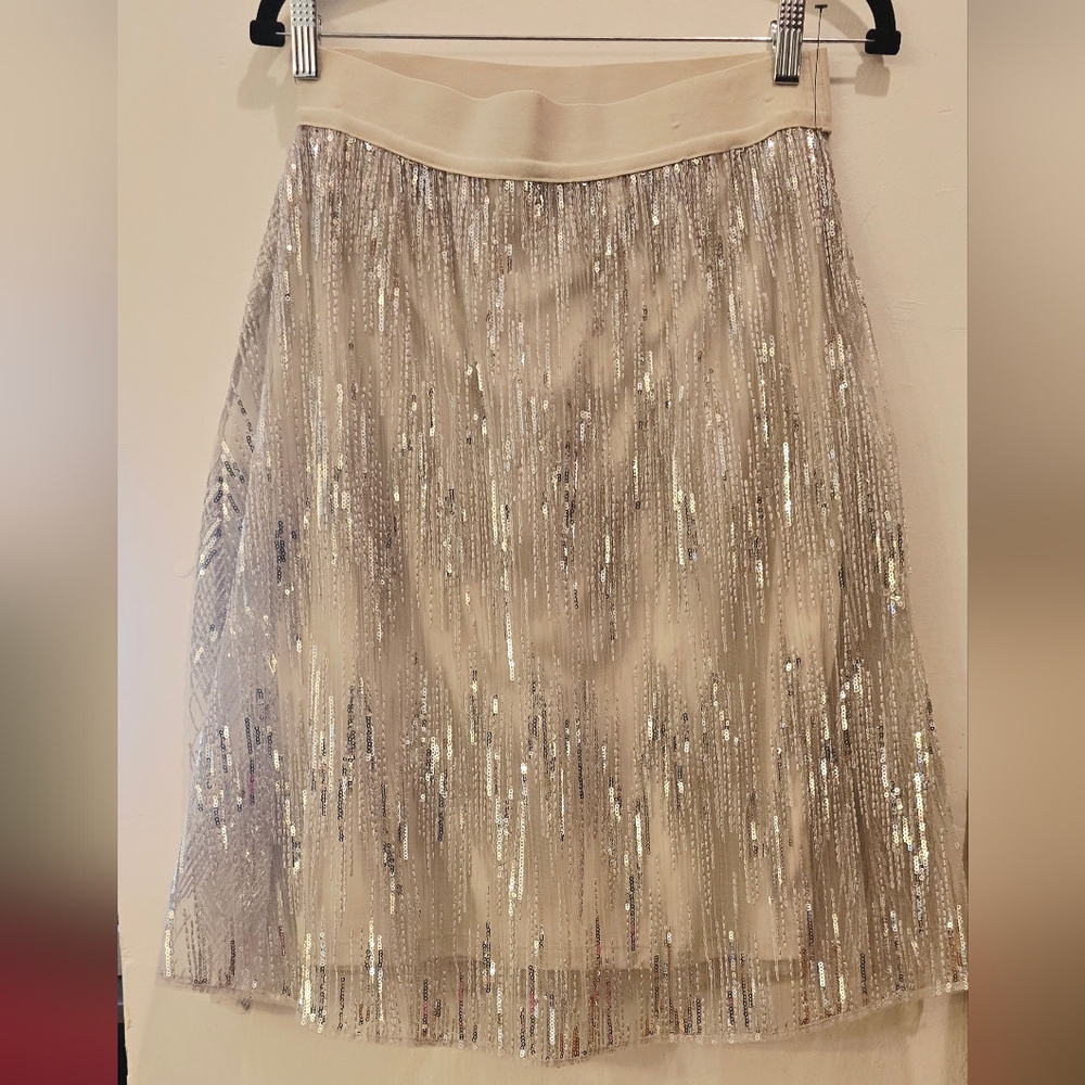 Elegant Silver Sequin Skirt
